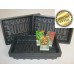 20 FULL SIZE GRAVEL TRAYS / SEED TRAYS WITHOUT HOLES + 3 PACKS VEG SEEDS